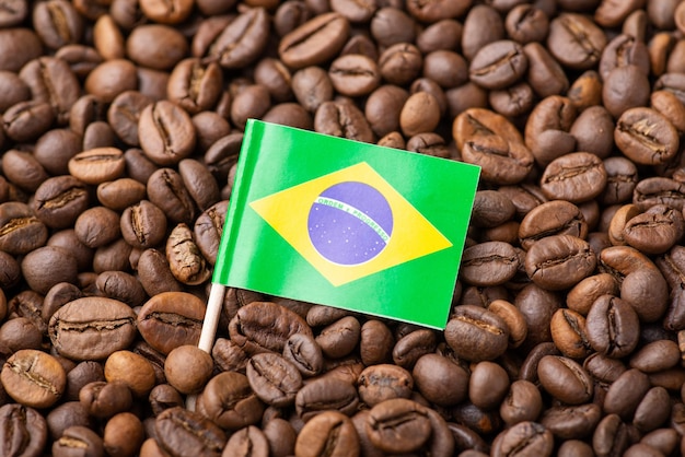 Café en Grano Brasil (Kg)